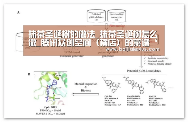百家乐官网直播
