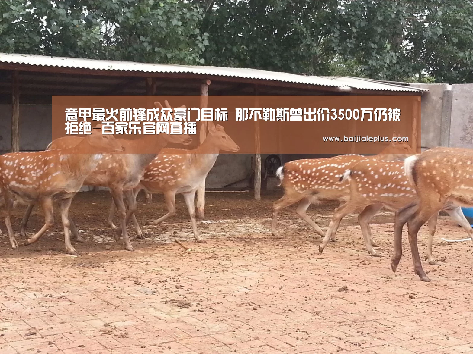 百家乐官网直播