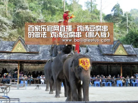 百家乐官网直播